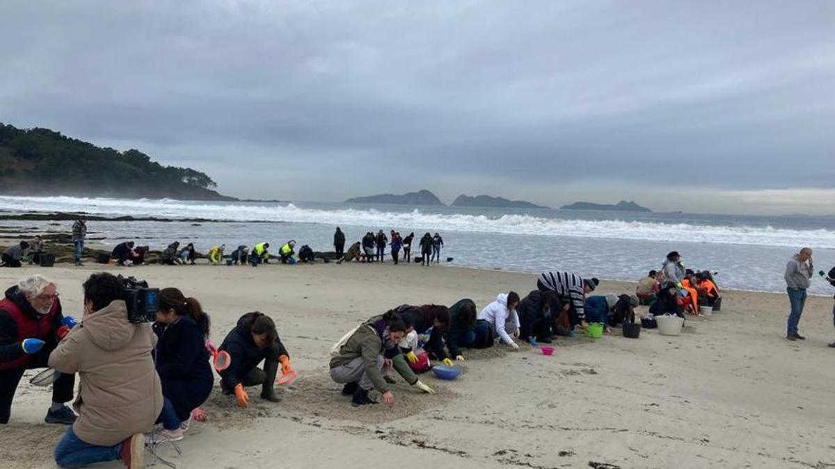 Más de 150 voluntarios, más personal de limpieza y brigada medioambiental del Concello de Nigrán en labores de limpieza.