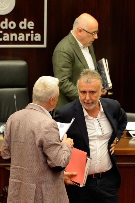 Las Palmas de Gran Canaria. Pleno Cabildo de Gran Canaria  | 29/05/2019 | Fotógrafo: José Carlos Guerra