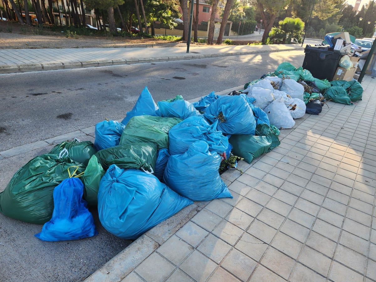 Hilera de bolsas con poda junto a contenedores de Bétera.