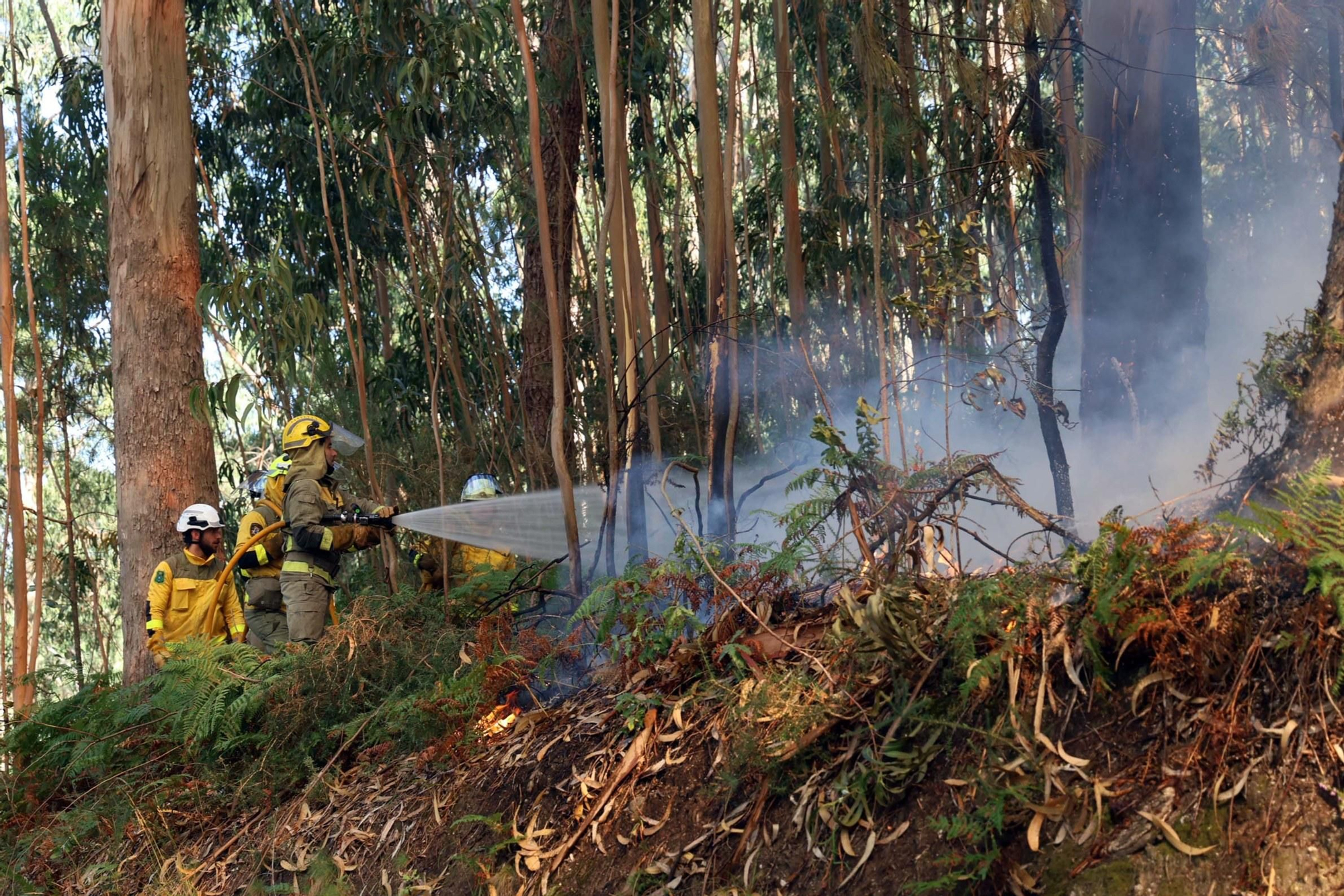 Espectacular incendio forestal en Meaño