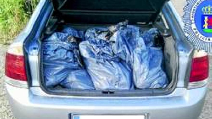 Intervienen en Badajoz 220 kilos de pollo en bolsas de basura en el maletero de un coche