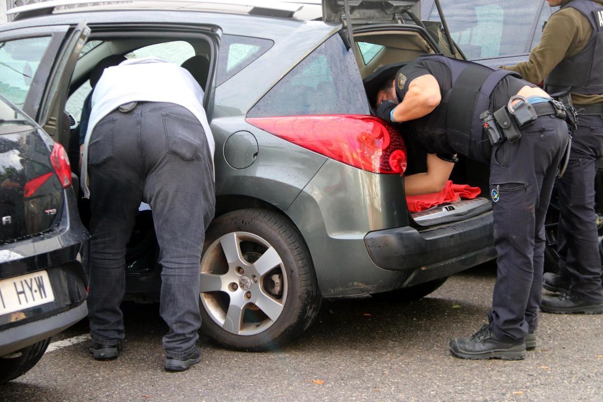 Operación policial en el Alt Empordà contra un grupo dedicado al tráfico de marihuana