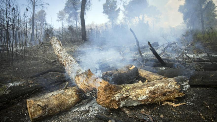 El desolador paisaje de Sierra Calderona tras el incendio