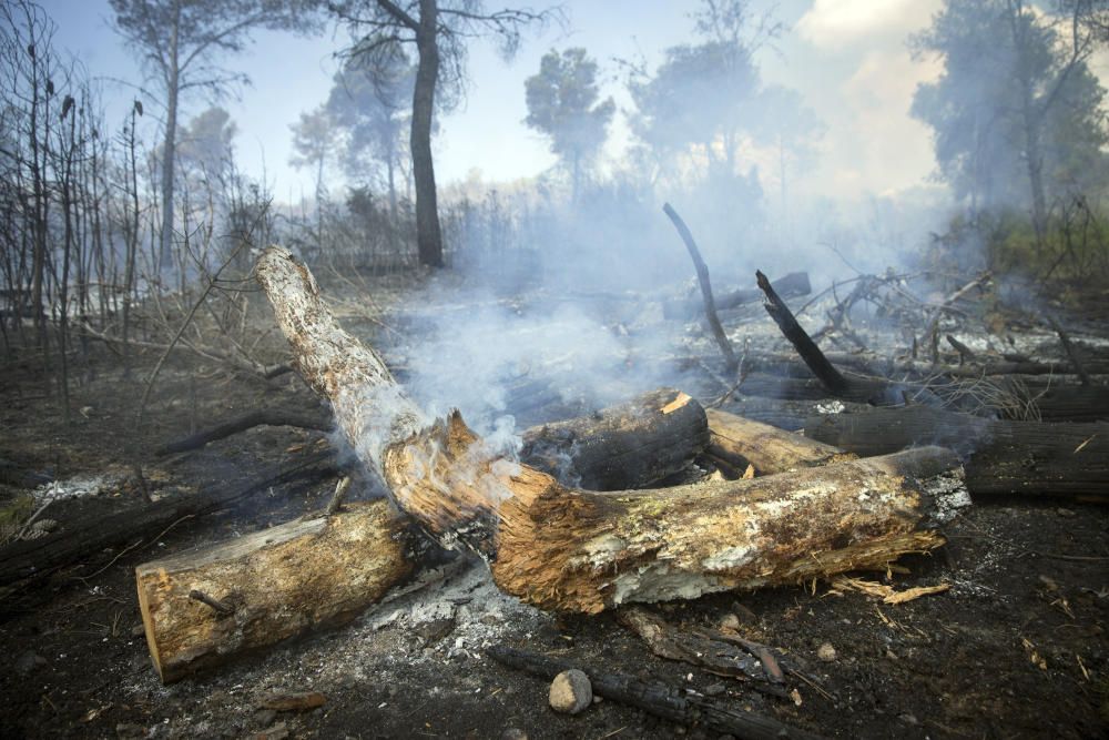 El desolador paisaje de Sierra Calderona tras el incendio