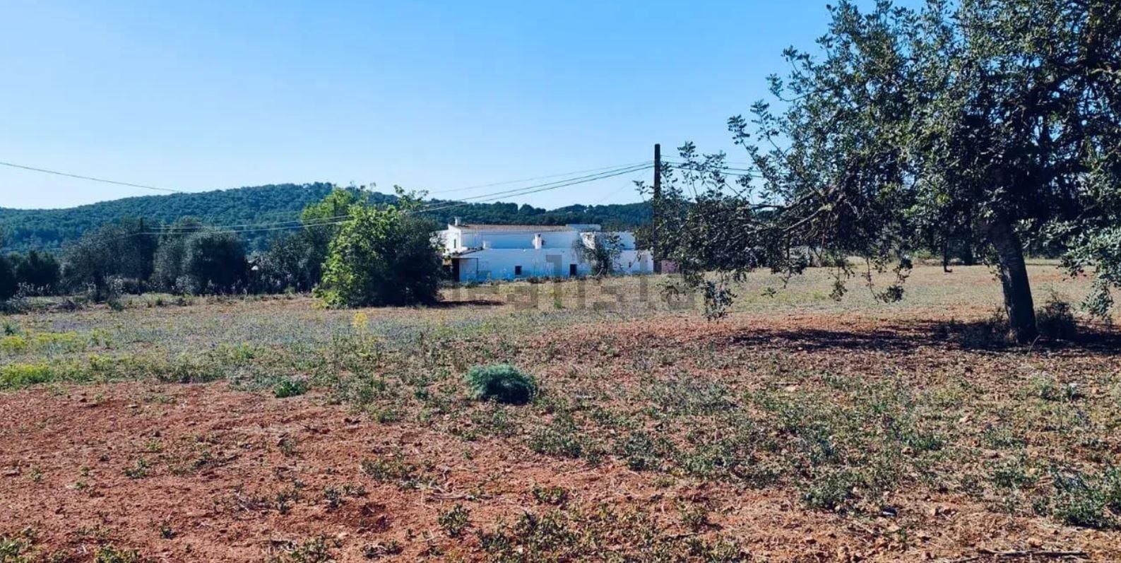 Una finca rústica para restaurar como un agroturismo por nueve millones de euros en Ibiza