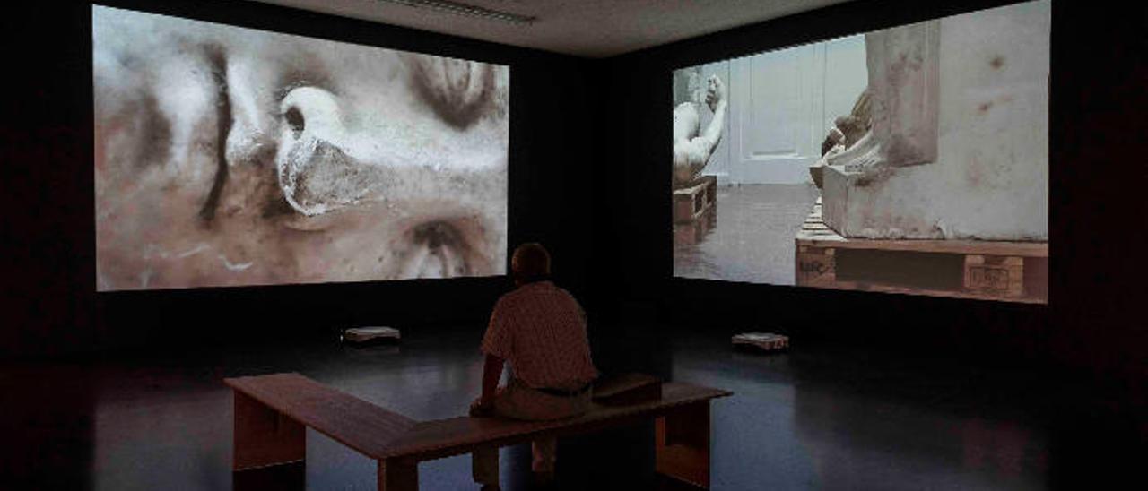 Pérez y Requena, &#039;Vivero&#039;, 2019, videoinstalación incluida en la exposición &#039;Europa: ese exótico lugar&#039;, que acoge estos días TEA (Tenerife Espacio de las Artes).