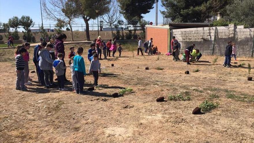 Los escolares protagonizan una jornada de plantación