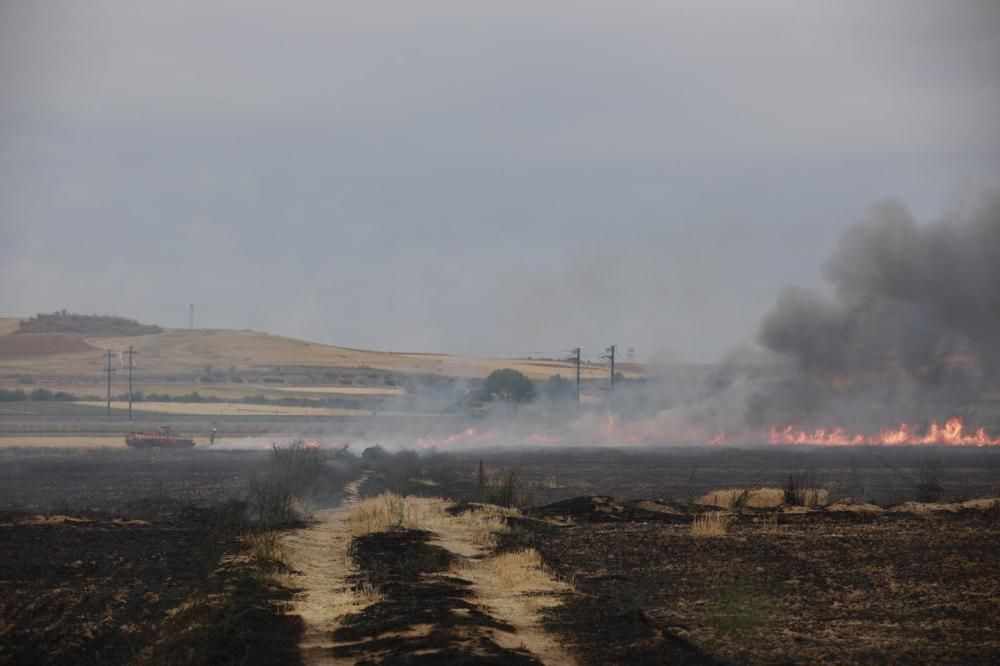 El incendio en el polígono industrial Campo de aviación de Coreses, en imágenes