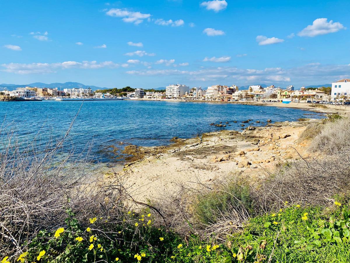Sonnenschein und blauer Himmel auf Mallorca: Das sind die Aussichten für die kommenden Tage.