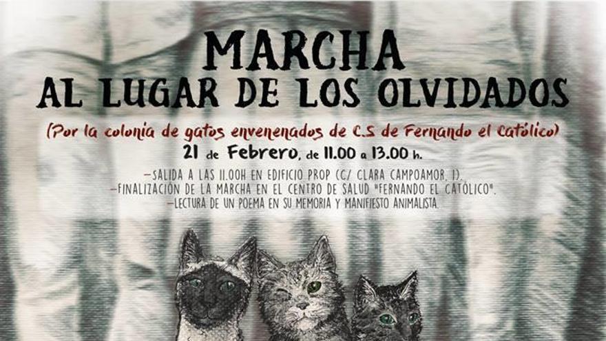 Manifestación en Castelló por los gatos envenenados en Fernando El Católico