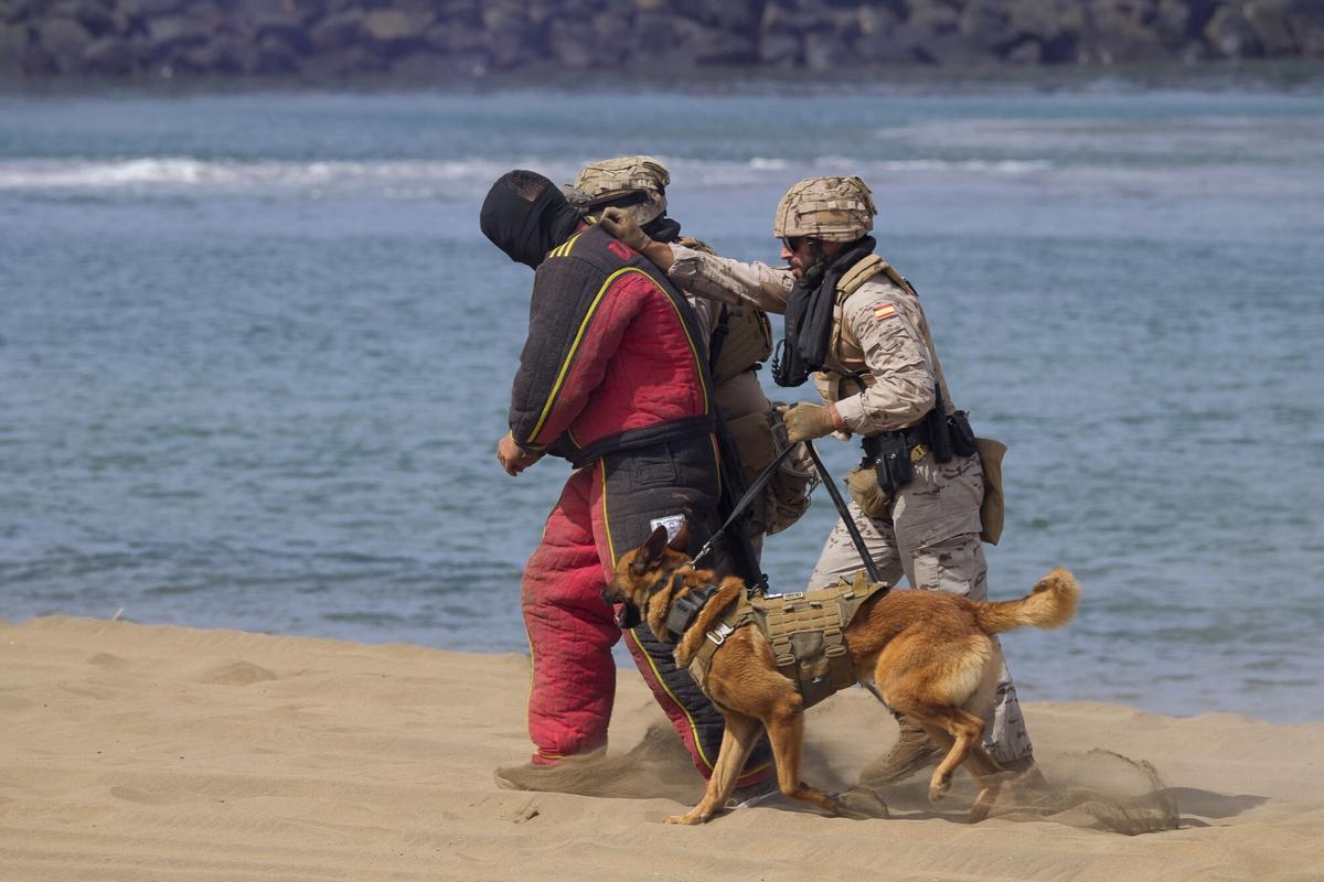Exhibición por el Día de las Fuerzas Armadas, en la playa de Alcaravaneras Exhibición por el Día de las Fuerzas Armadas, en la playa de Alcaravaneras