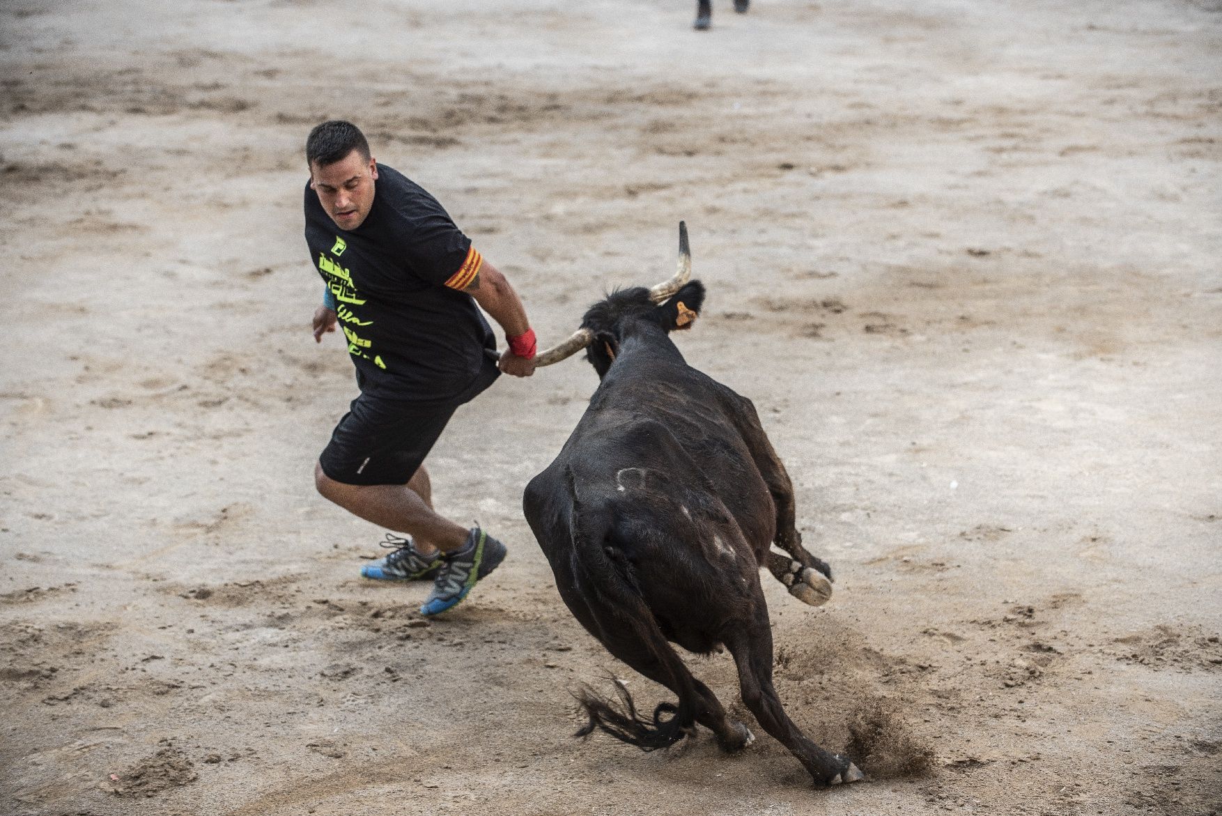 Corre de bous de Cardona