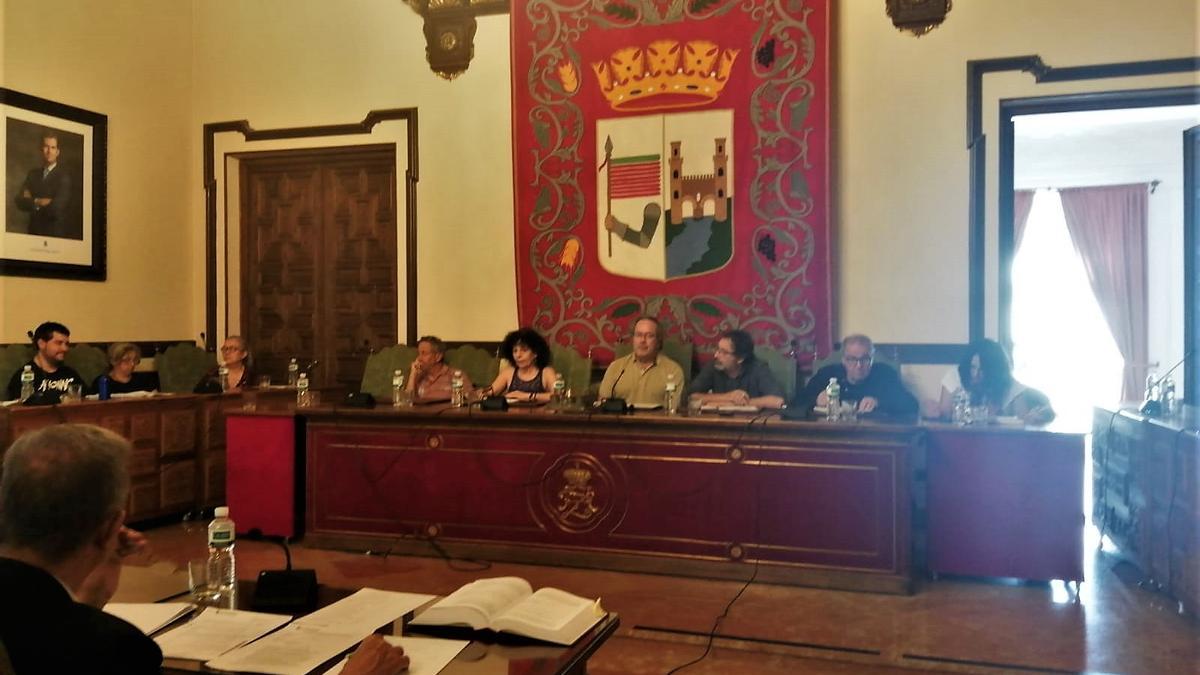 Pleno del Ayuntamiento de Zamora