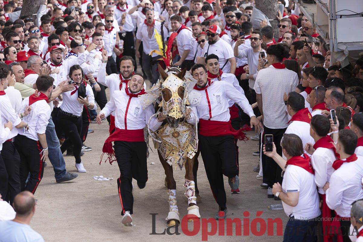 Así se ha vivido la carrera de Los Caballos del Vino en Caravaca