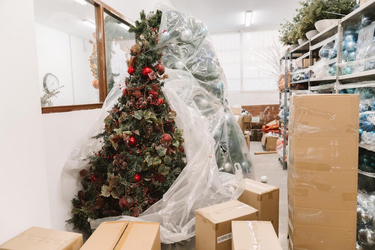 Así es el almacén de Tetuán donde se puede alquilar árboles de Navidad