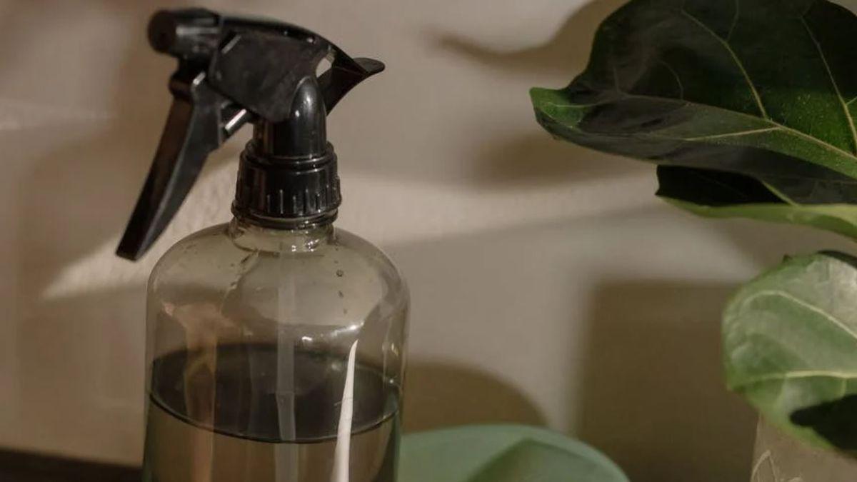 Cómo eliminar el olor a humedad del baño y el moho de la ducha con ingredientes que tienes en casa