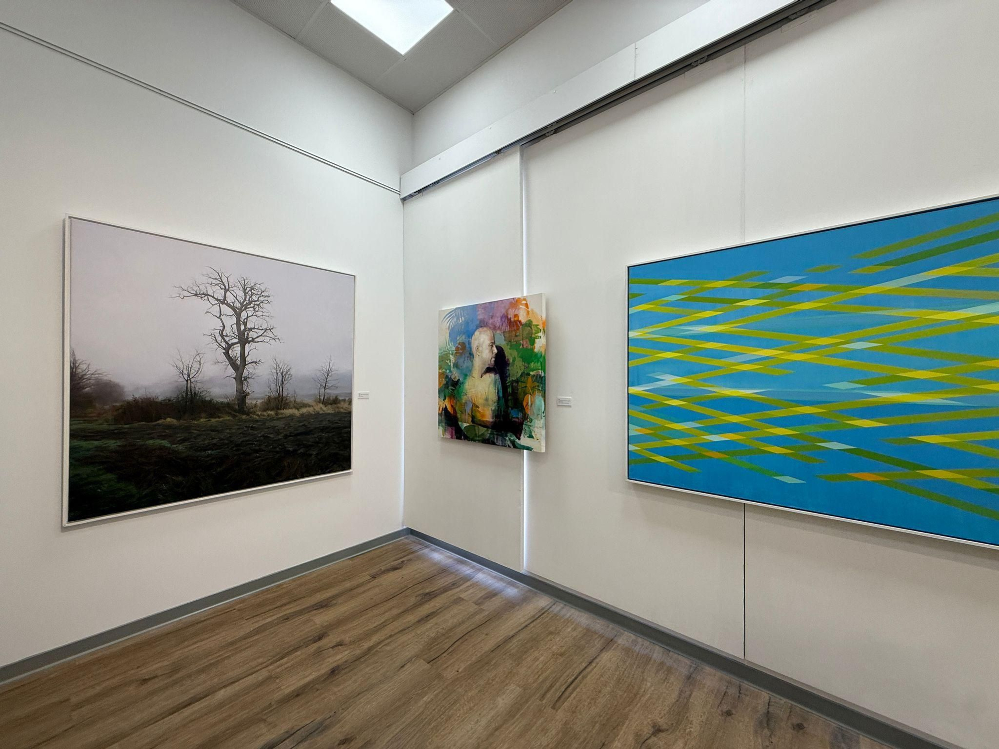 Así es la muestra de las 27 obras ganadoras del Certamen Nacional de Pintura de Villaviciosa que componen la colección municipal