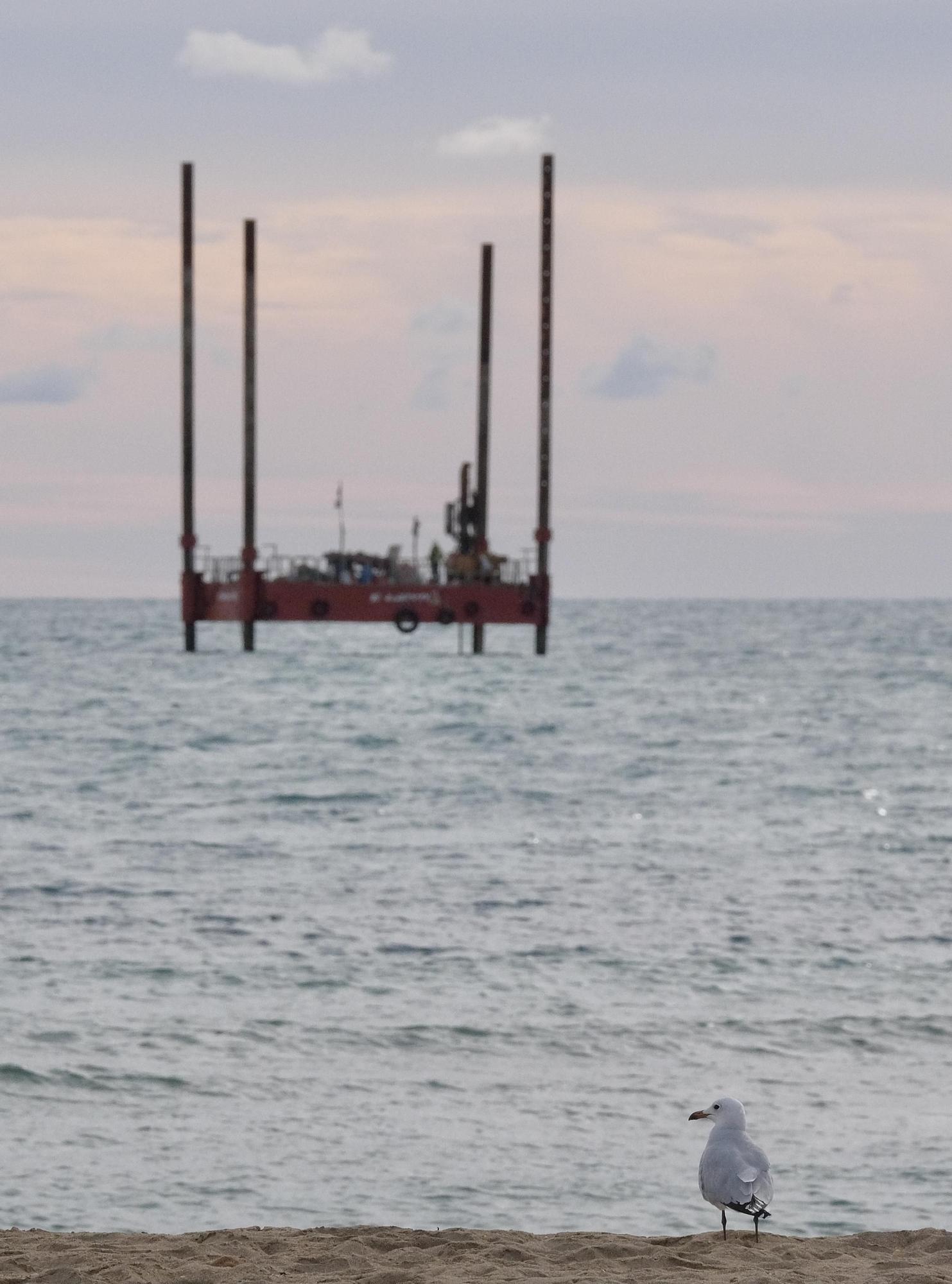 FOTOS: Una gran plataforma se instala en la bahía de Palma para prolongar el emisario de aguas sucias más allá de la pradera de posidonia