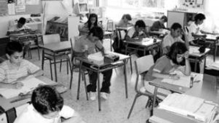 11.350 alumnos de cuarto de Primaria dan la ´talla´ en lengua y matemáticas