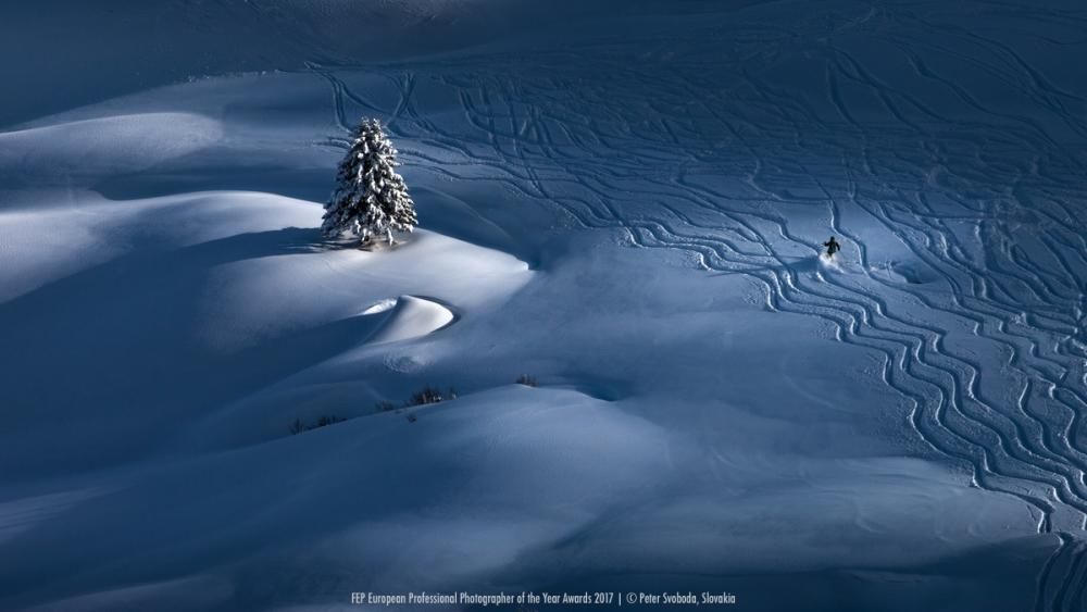 European Professional Photographer of the Year Awa