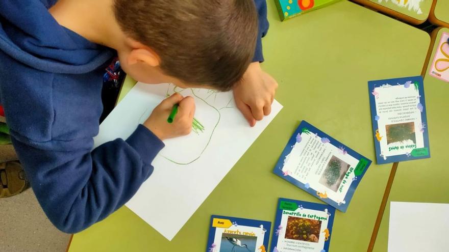 Los talleres del aula del Mar Menor, un éxito