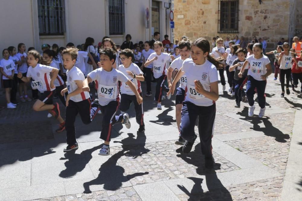 Carreras solidarias escolares