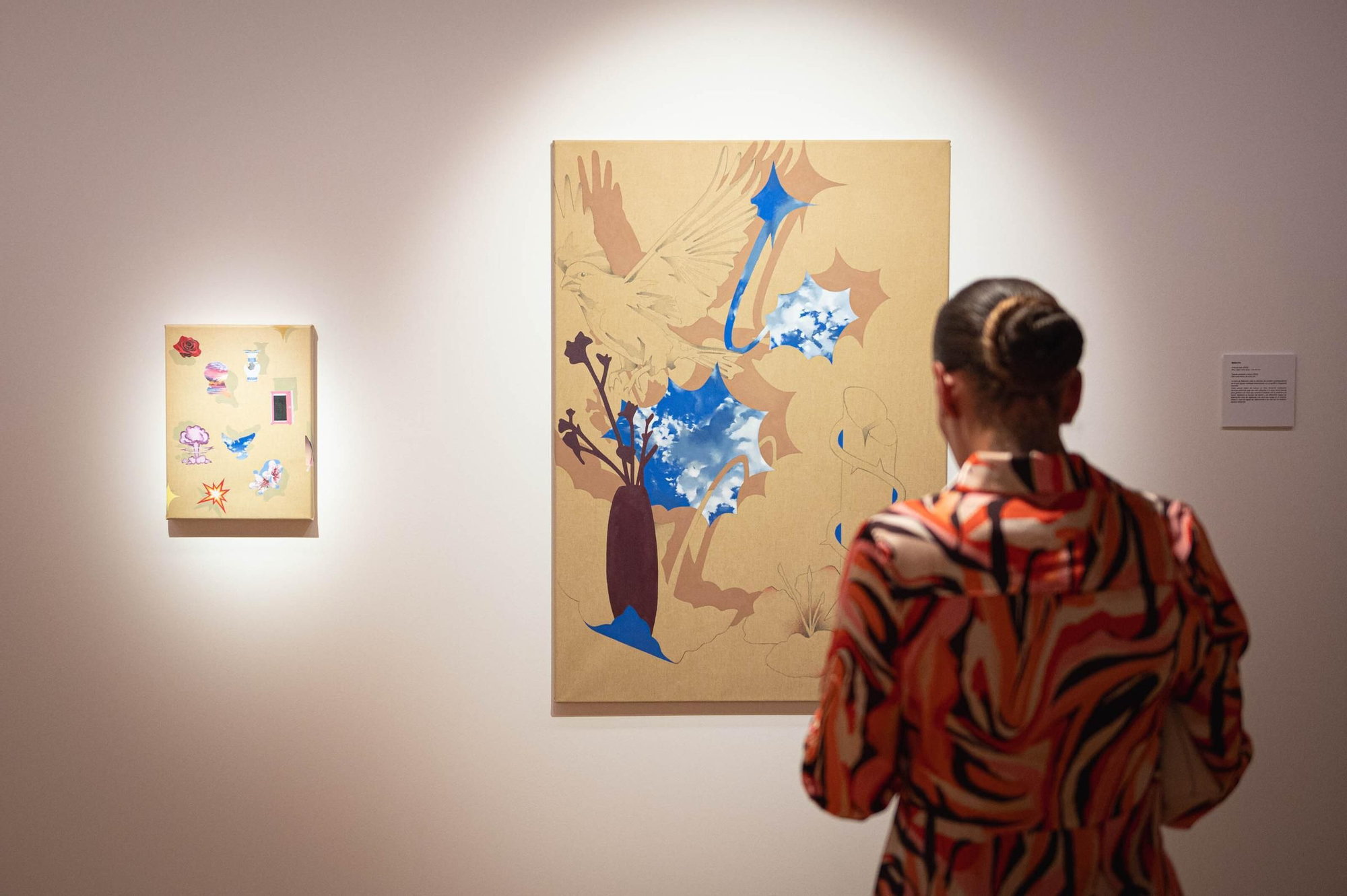 Exposición de seleccionados de los Premios de Artes Plásticas CajaCanarias