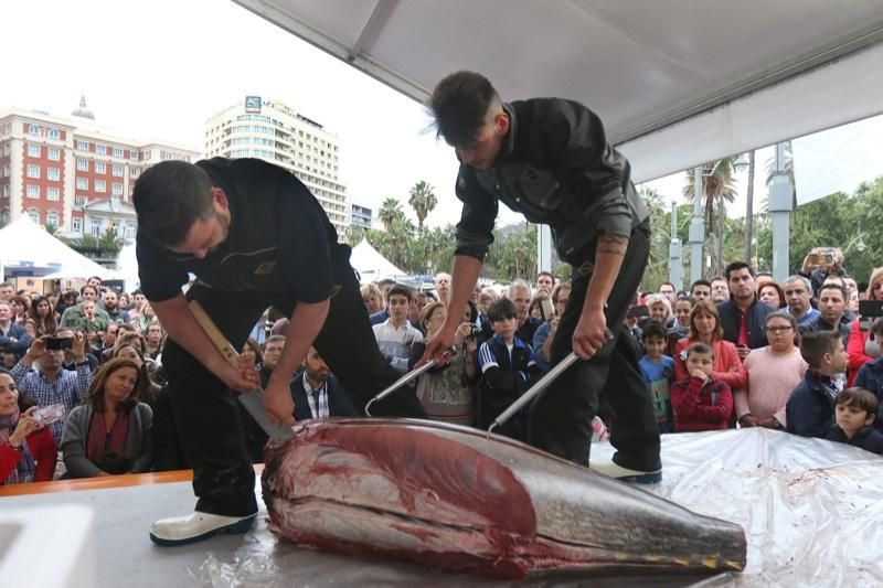 Ronqueo de atún rojo en la Plaza de la Marina