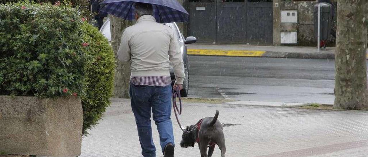 Un hombre pasea ayer con su perro por el centro de Bueu. // Santos Álvarez