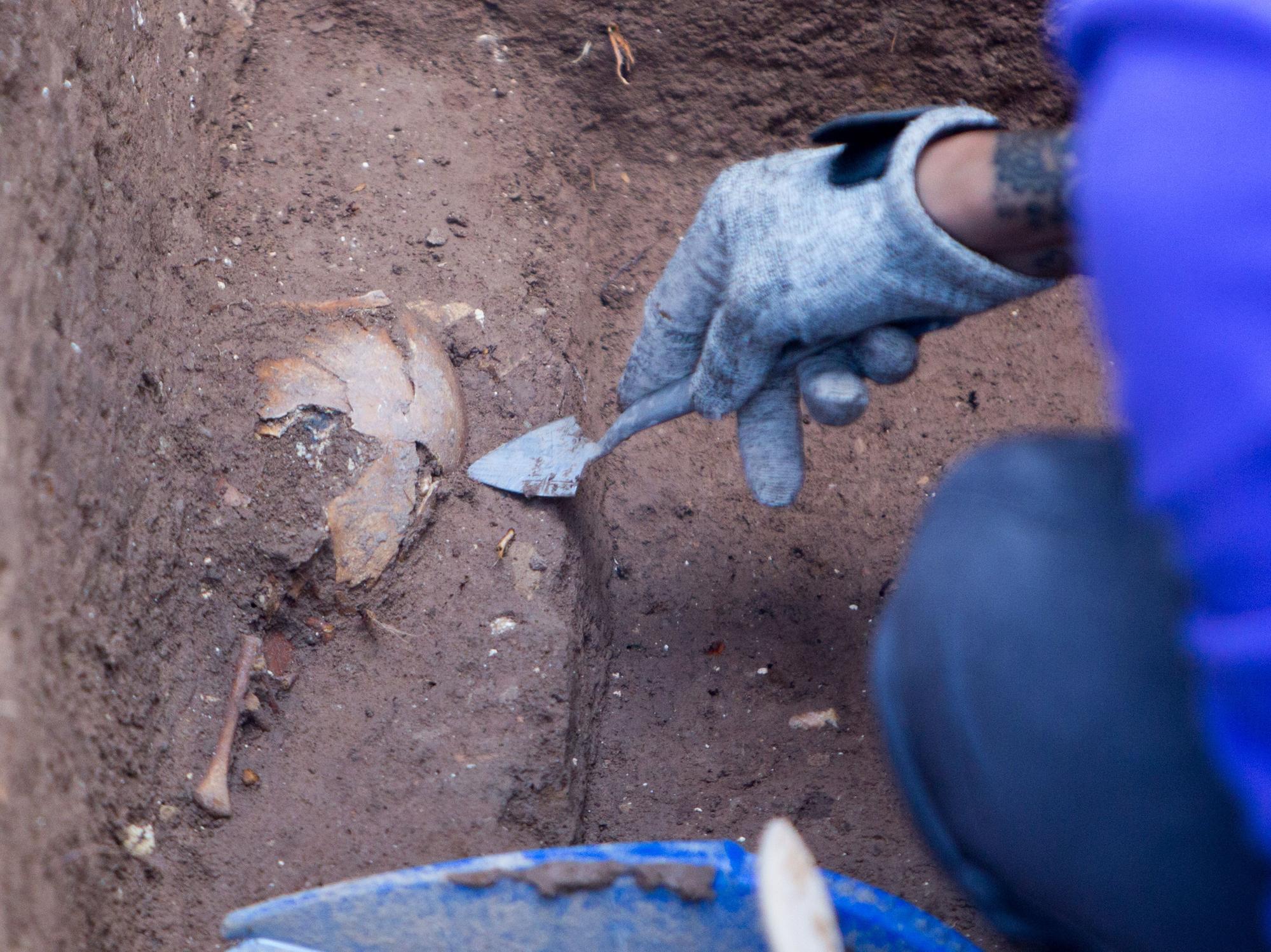 Exhumación en el cementerio de Alicante de los cuerpos represaliados durante la Guerra Civil