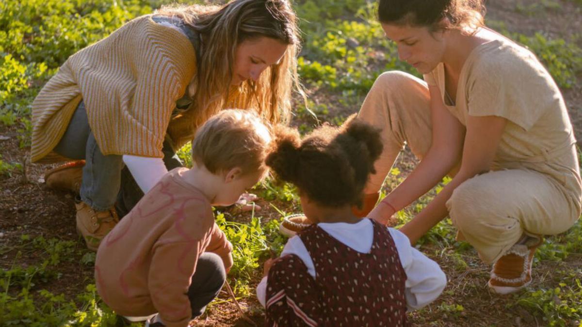 EDuCANDO EN  CONSCIENCIA