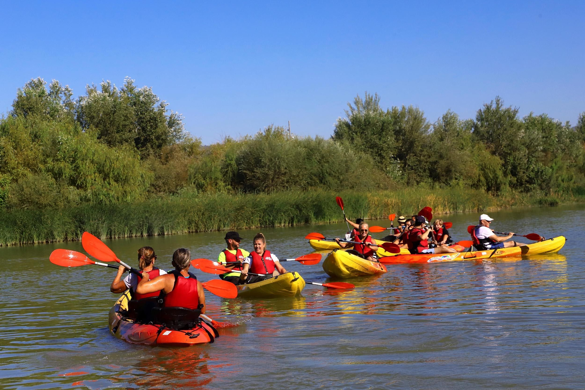Paseos en kayak por el róio Guadalquivir