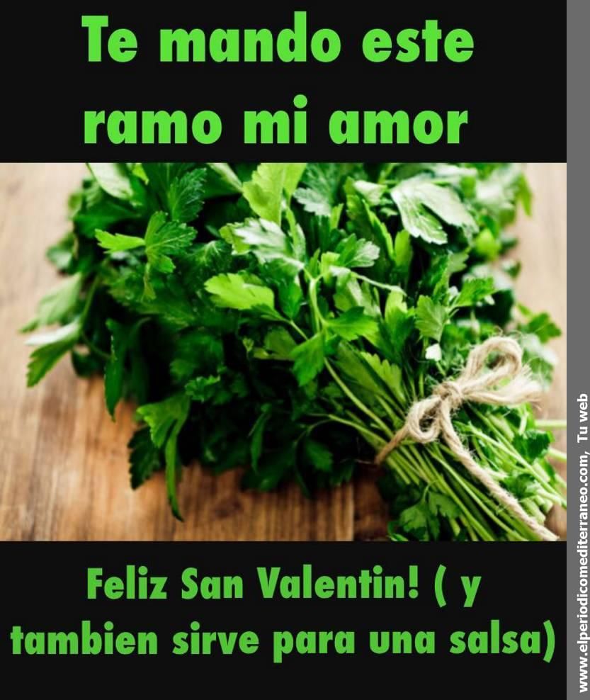 Memes de San Valentin