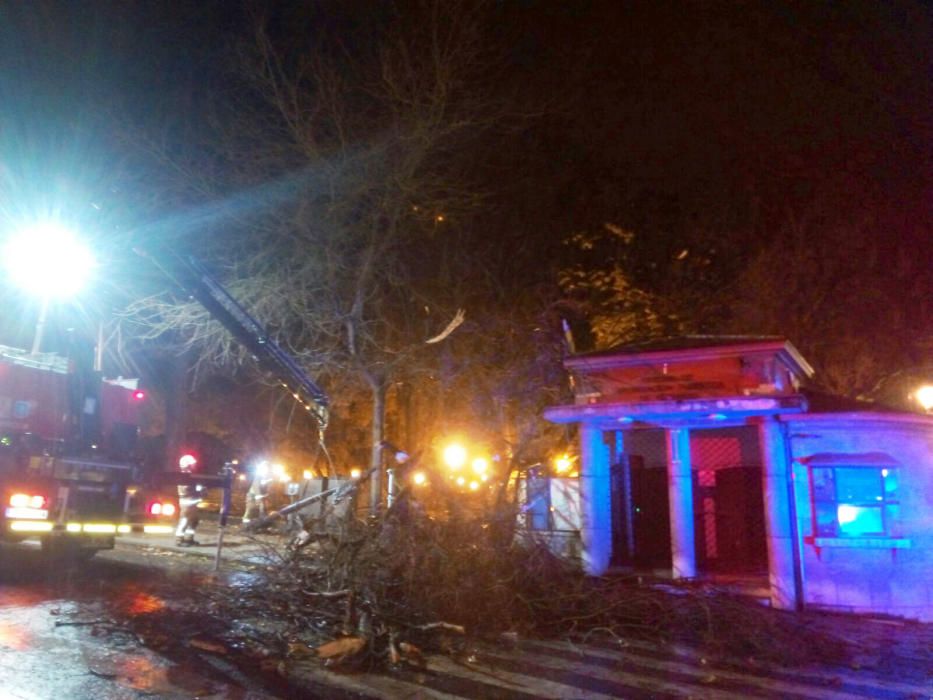 Daños en El Escorialín por el viento.