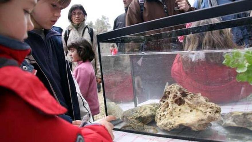 Unos niños observan un ejemplar del cangrejo de río autóctono