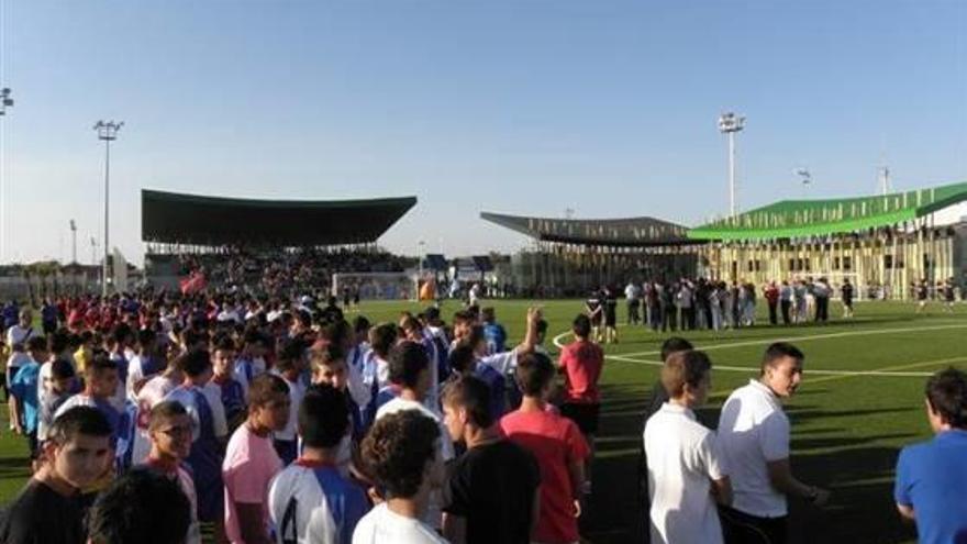 Torrevieja quiere salvar las Escuelas Deportivas contratando a 40 interinos
