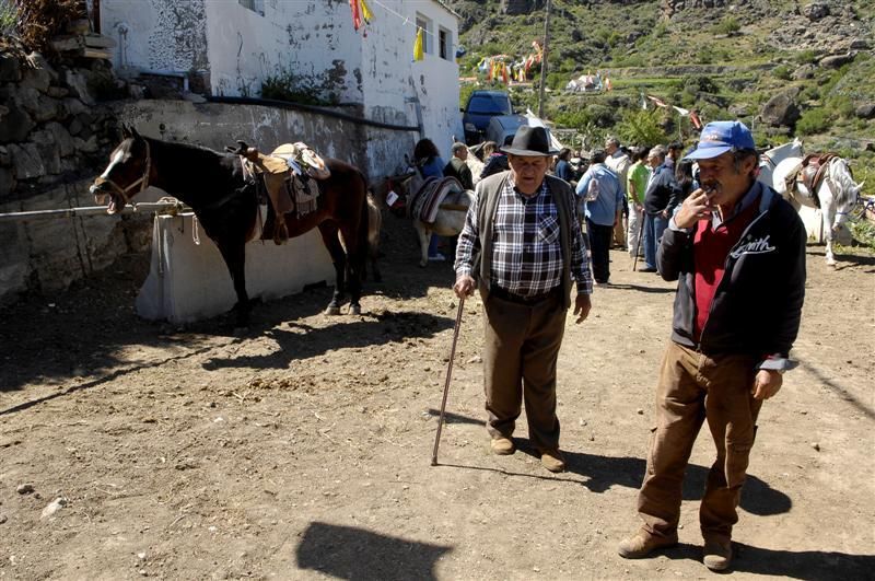 XX Feria Equina de La Culata de Tejeda