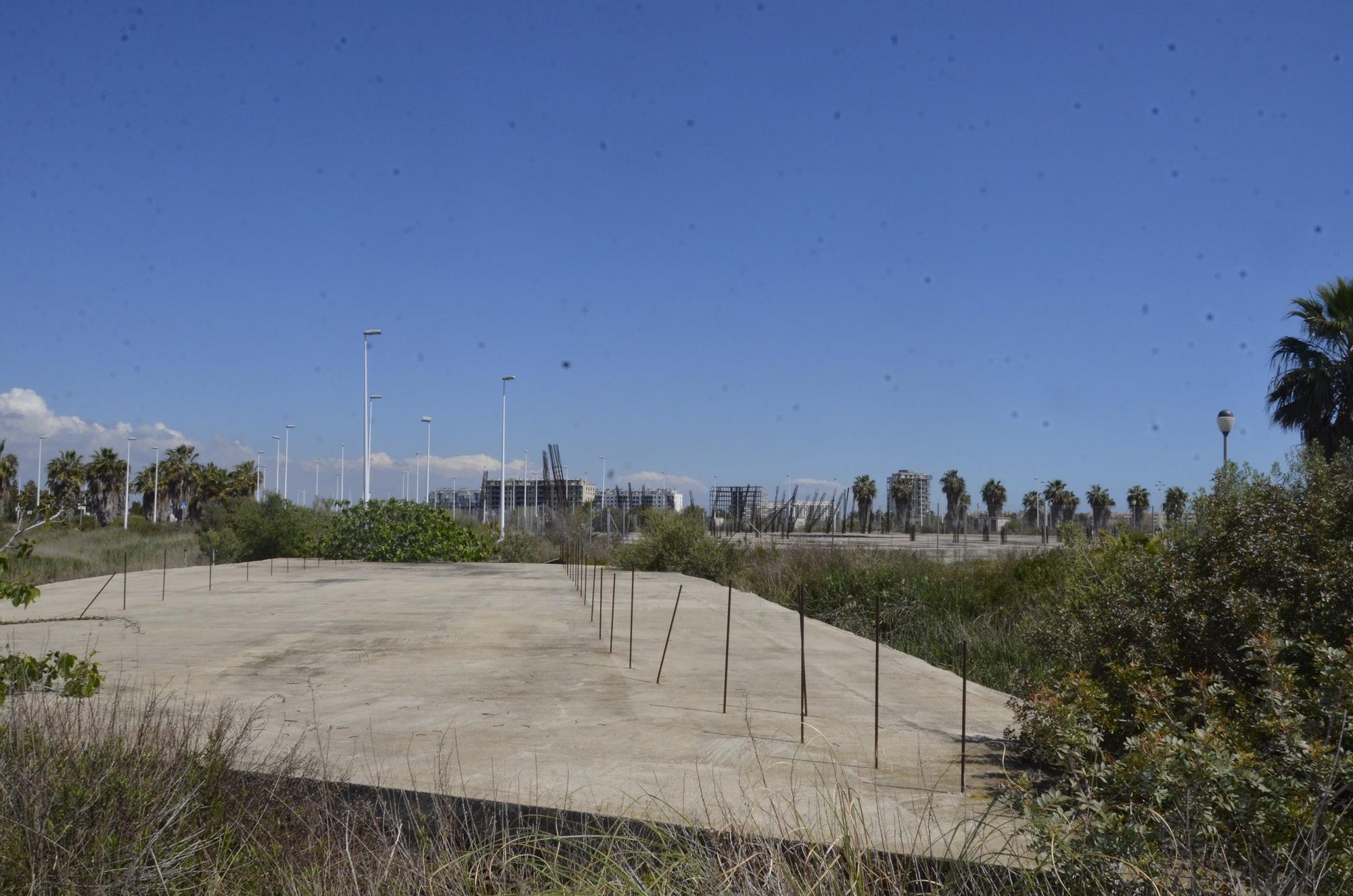 El PAI Belcaire Sur de Moncofa, una urbanización abandonada y habitada solo por la maleza