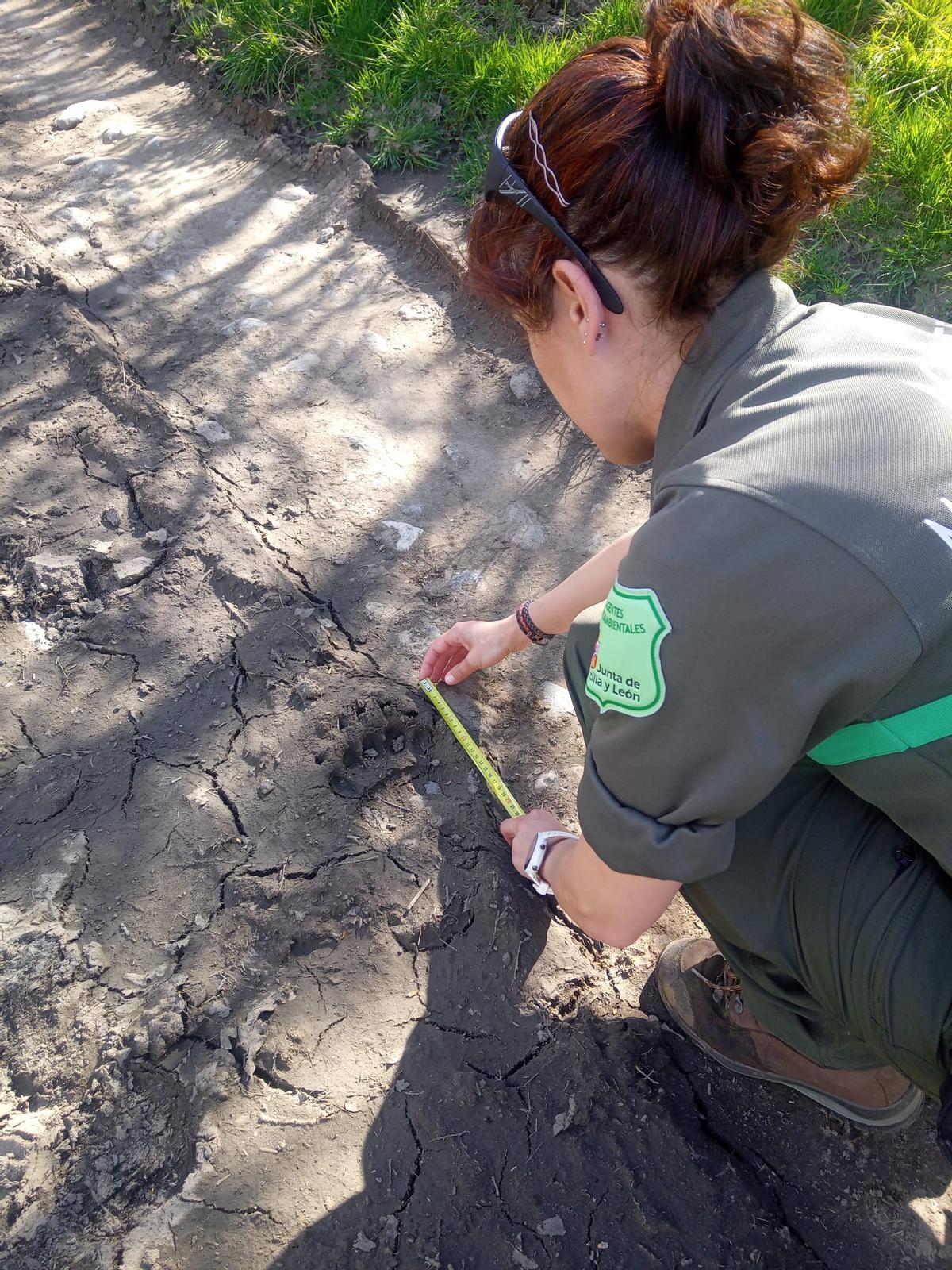 Rosa Ana Ríos Muriel trabajando.