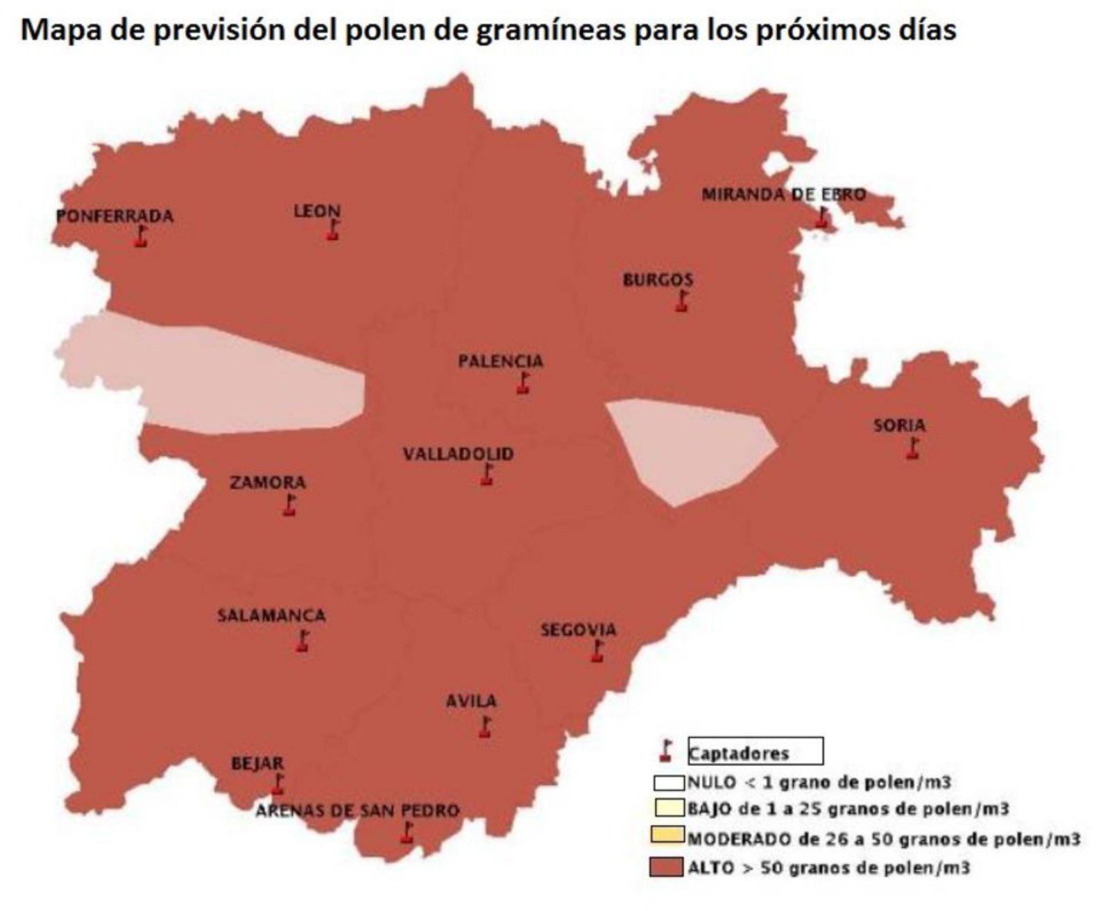 Gramíneas, roble y cuatro especies más amargan la temporada a los alérgicos