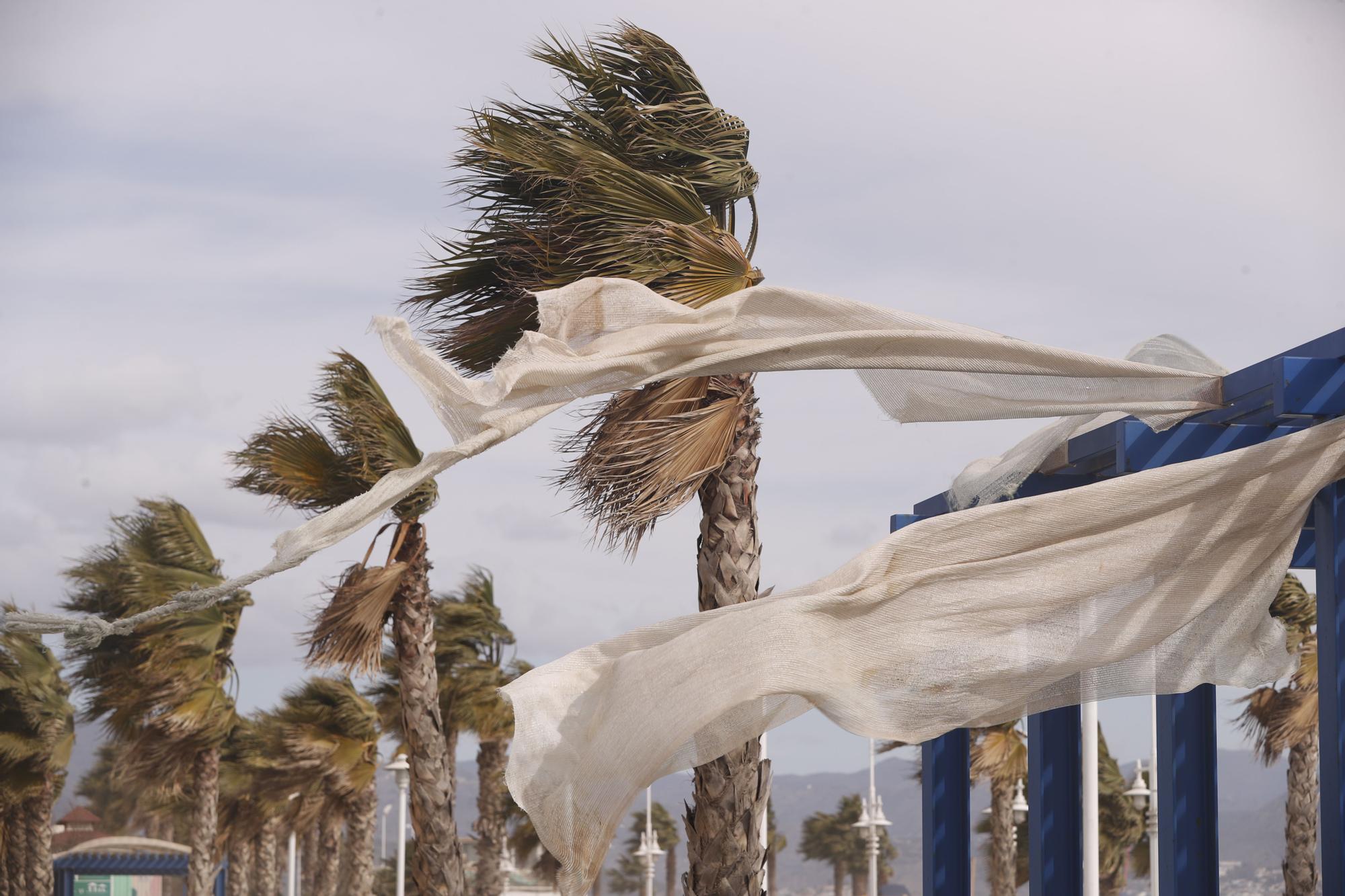 Fuerte viento en la zona oeste de Málaga capital.