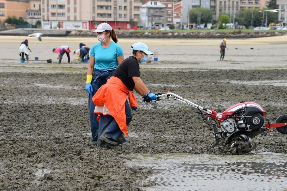 Mariscadores de Cangas y Moaña, en mar y en tierra