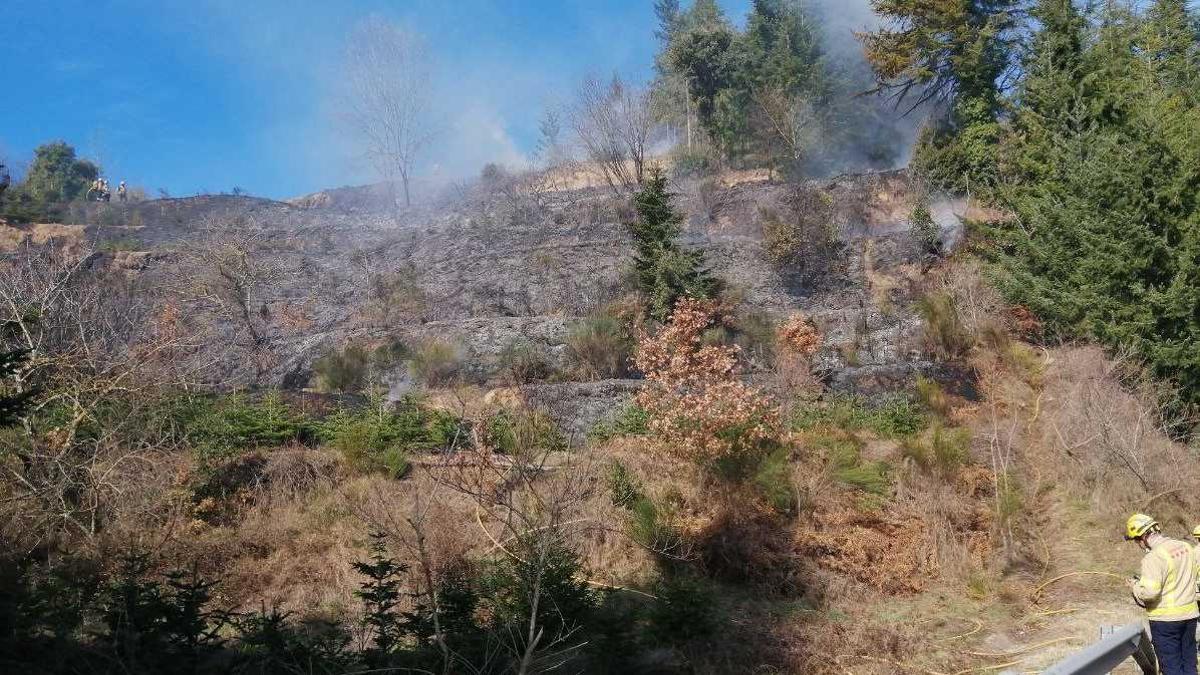 Incendi de vegetació que s'ha declarat aquest dissabte a Sant Hilari Sacalm.