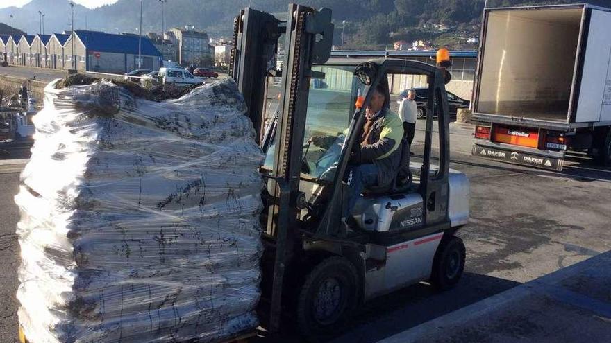 Bateeiros de Bueu cargan ayer por la mañana palés de mejillón en un camión en el puerto. // G.Núñez