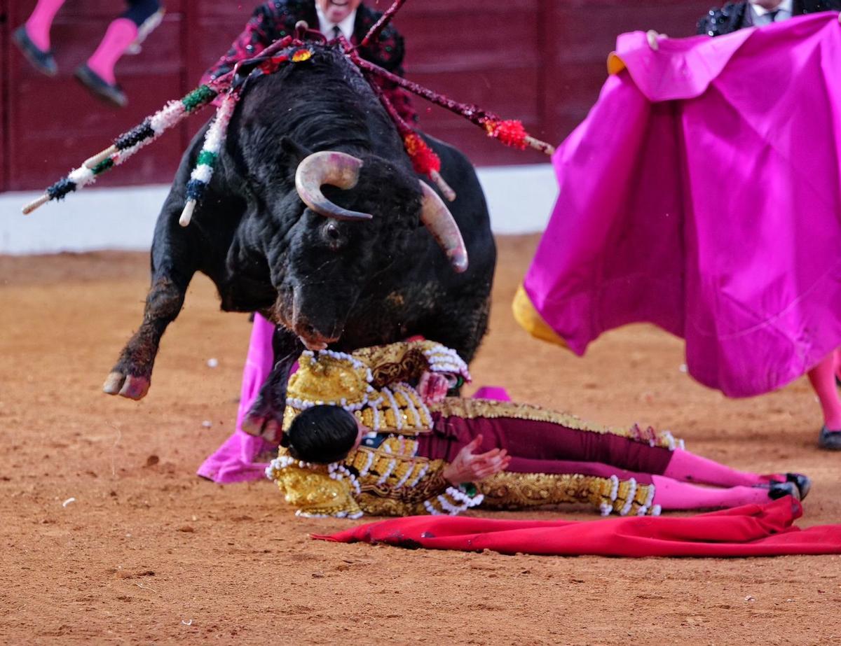 Emilio de Justo, tras la cogida en Olivenza.