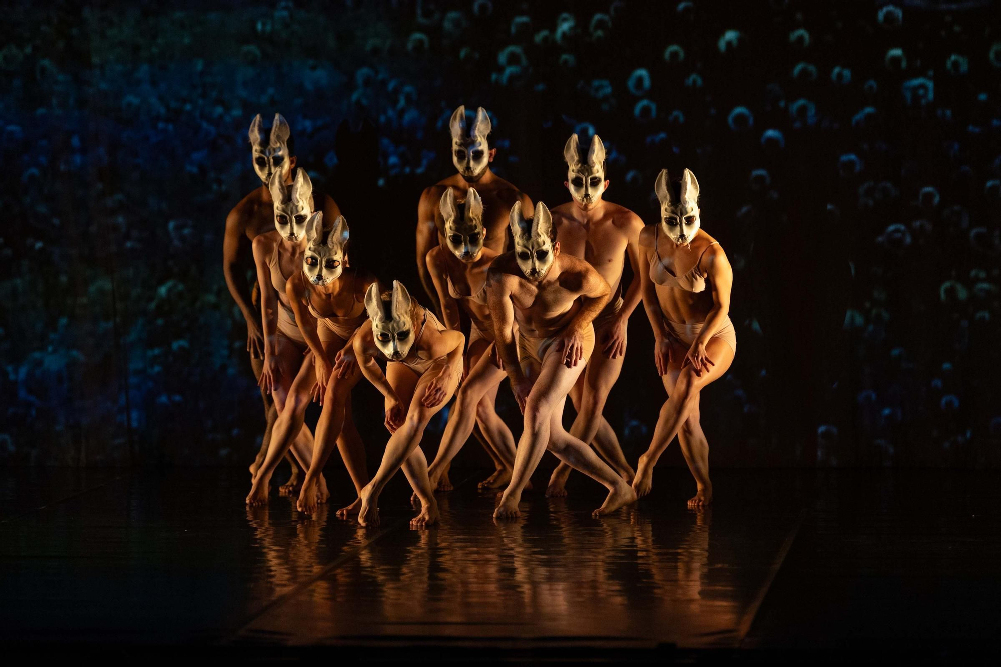 Momix presenta en A Coruña su nuevo espectáculo 'Alice'