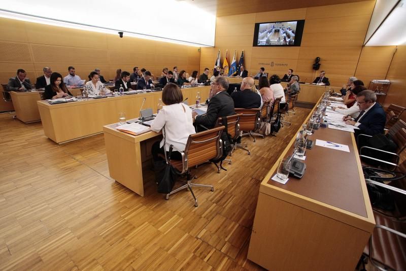 Pleno del Cabildo de Tenerife