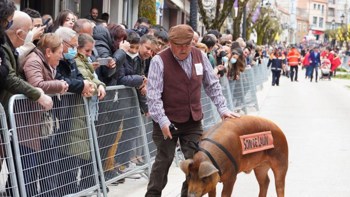 El cerdo Queitano abrió el desfile de carrozas.