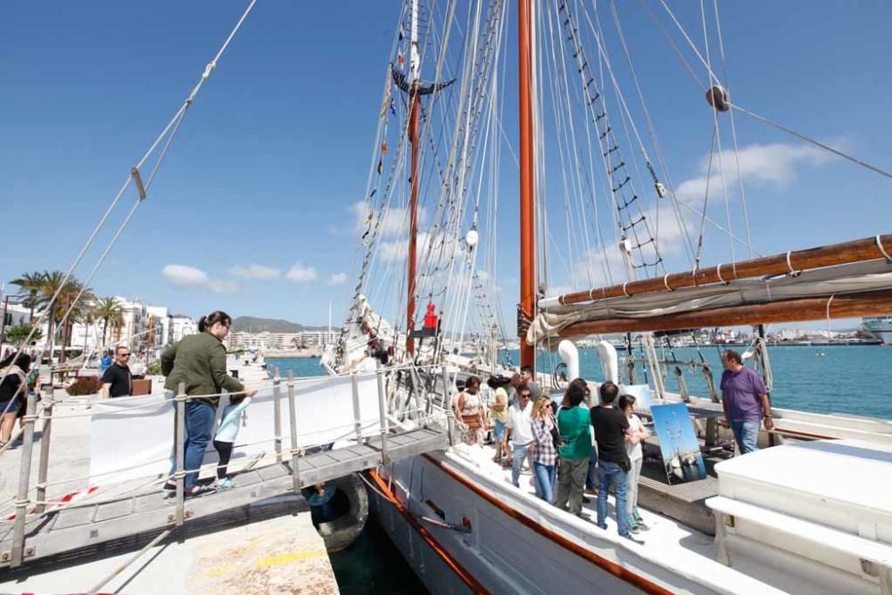 Vila desplaza el programa Feim Barri a la Marina y los muelles pesqueros para «dinamizar el barrio» y «recuperar» la pesca tradicional