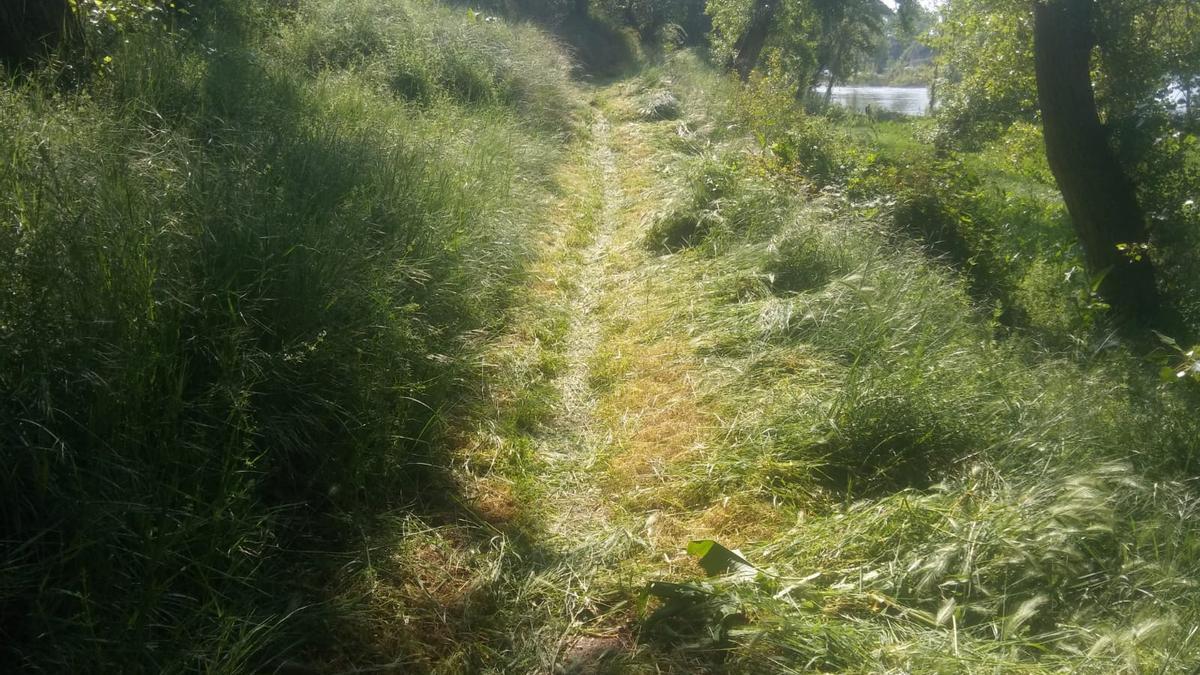 Sendero que une el puente de piedra con el de hierro y que ha sido recuperado por ProCulto